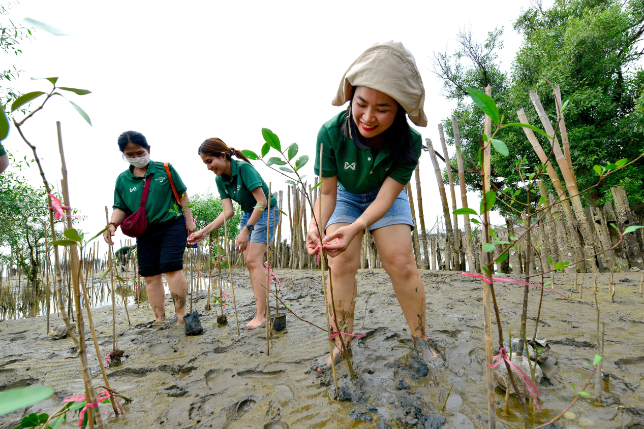 Rama 9 Mangrove Forest Bang Pu